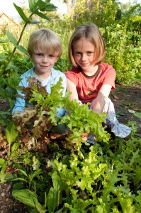 Eat your Greens! Photo Credit: The Complete Kitchen Garden