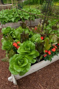 The Paintbox Garden design from The Complete Kitchen garden book.