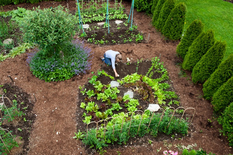Ellen Ogden planting her  salad lovers garden in early spring.