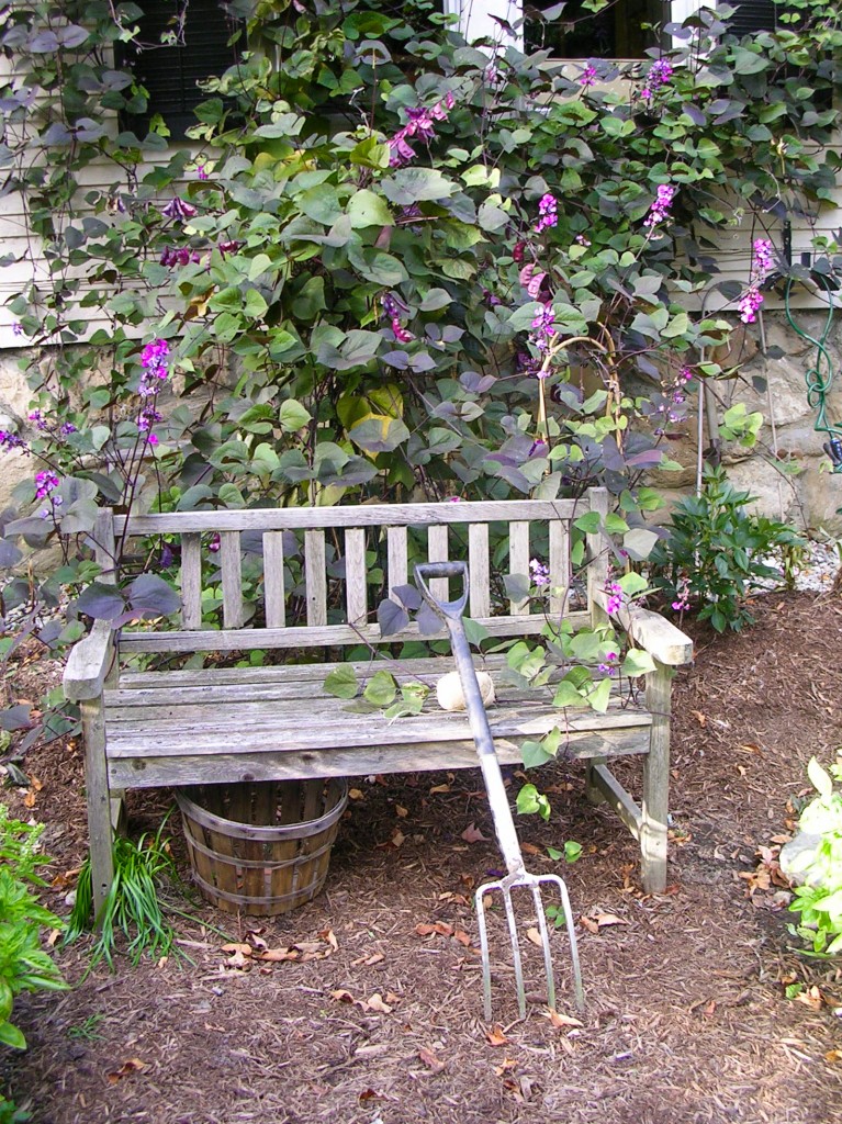 131.garden bench