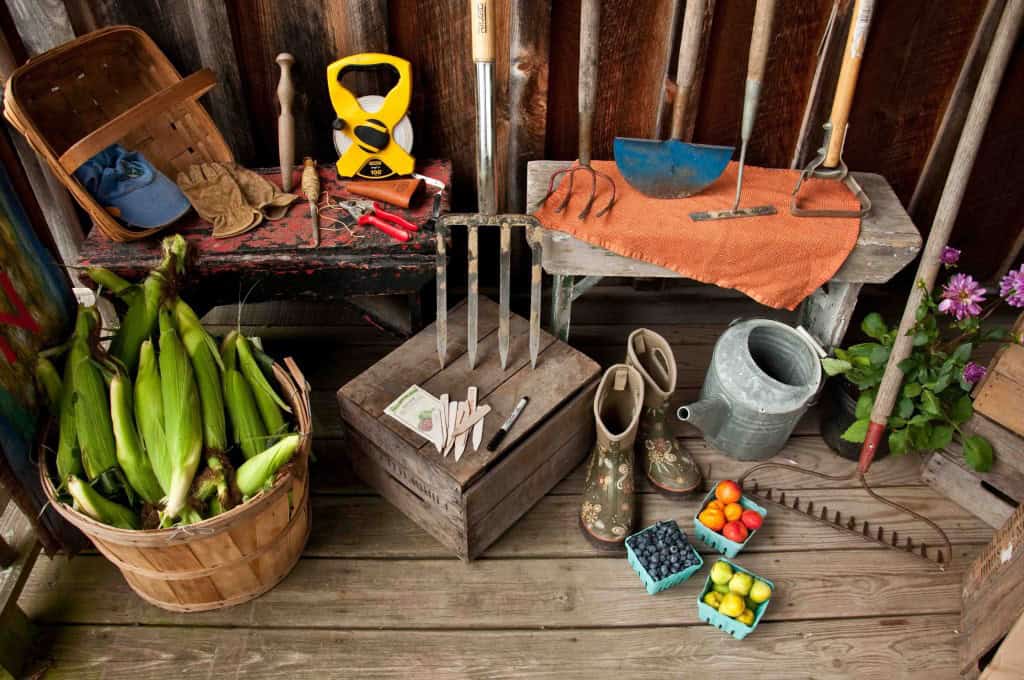 Photo by Ali Kaukas. The Complete Kitchen Garden.