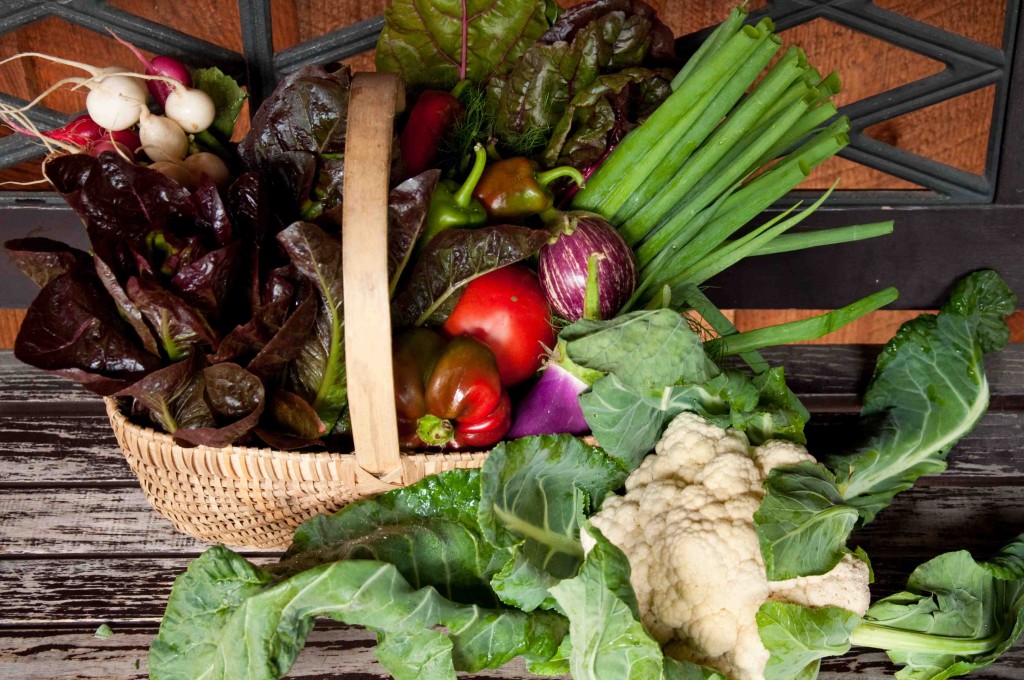Ellen Ogden. Harvest Basket Vegetables