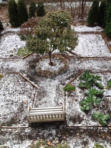 My garden, just as the snow started to fall.