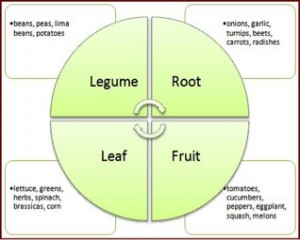 kitchen garden design