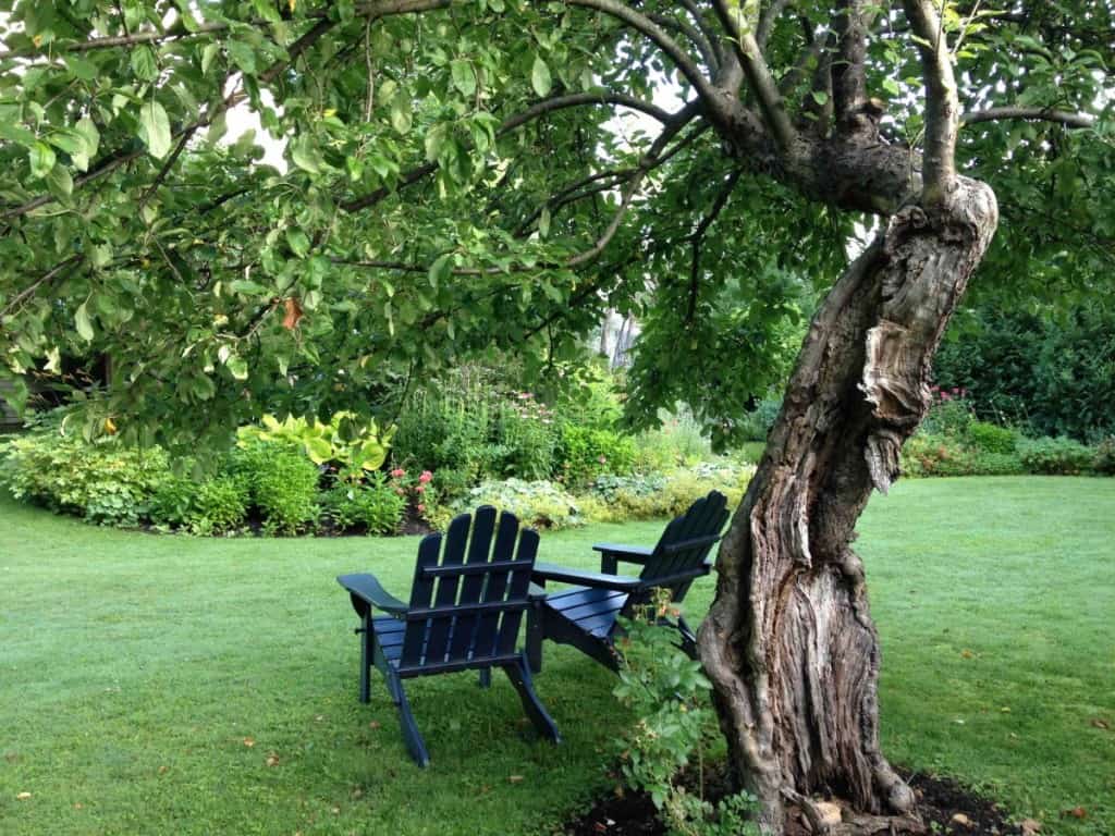 backyard garden