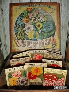 seed box 01