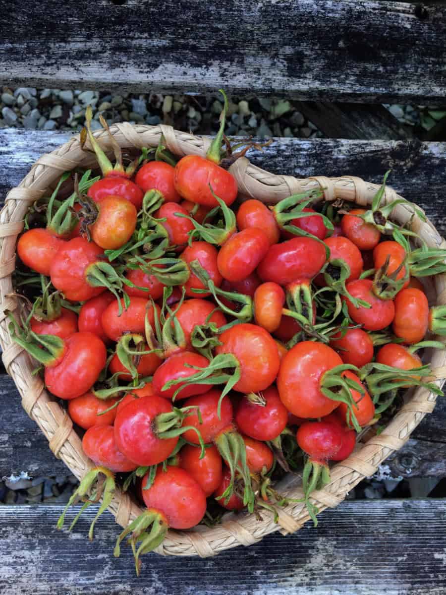 Rose hip Jam