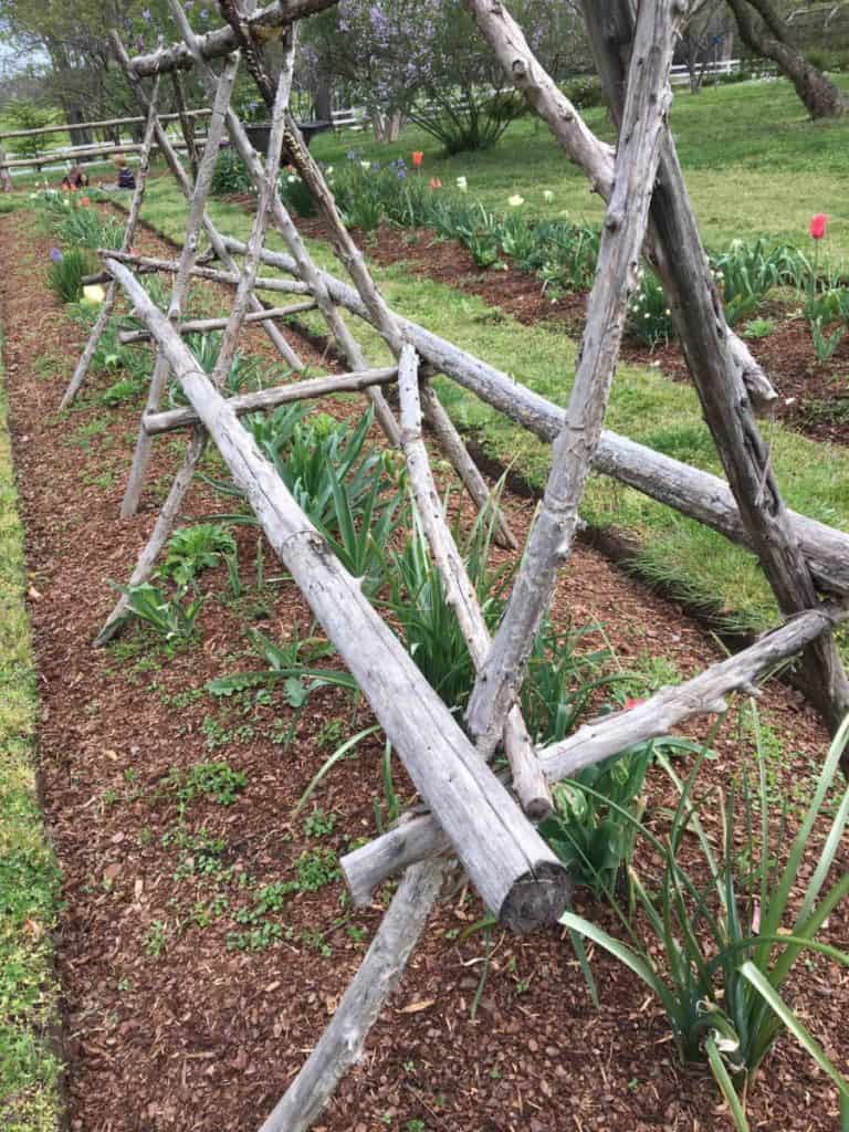 rustic trellis