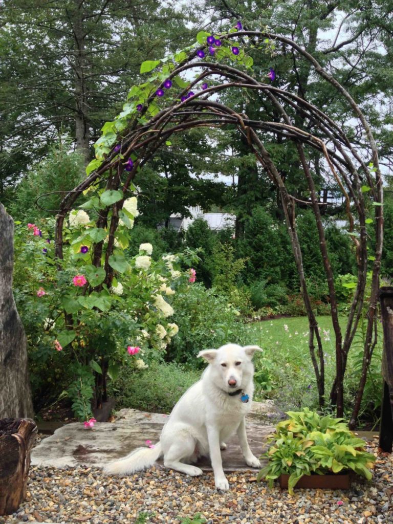 How to Build a rustic trellis
