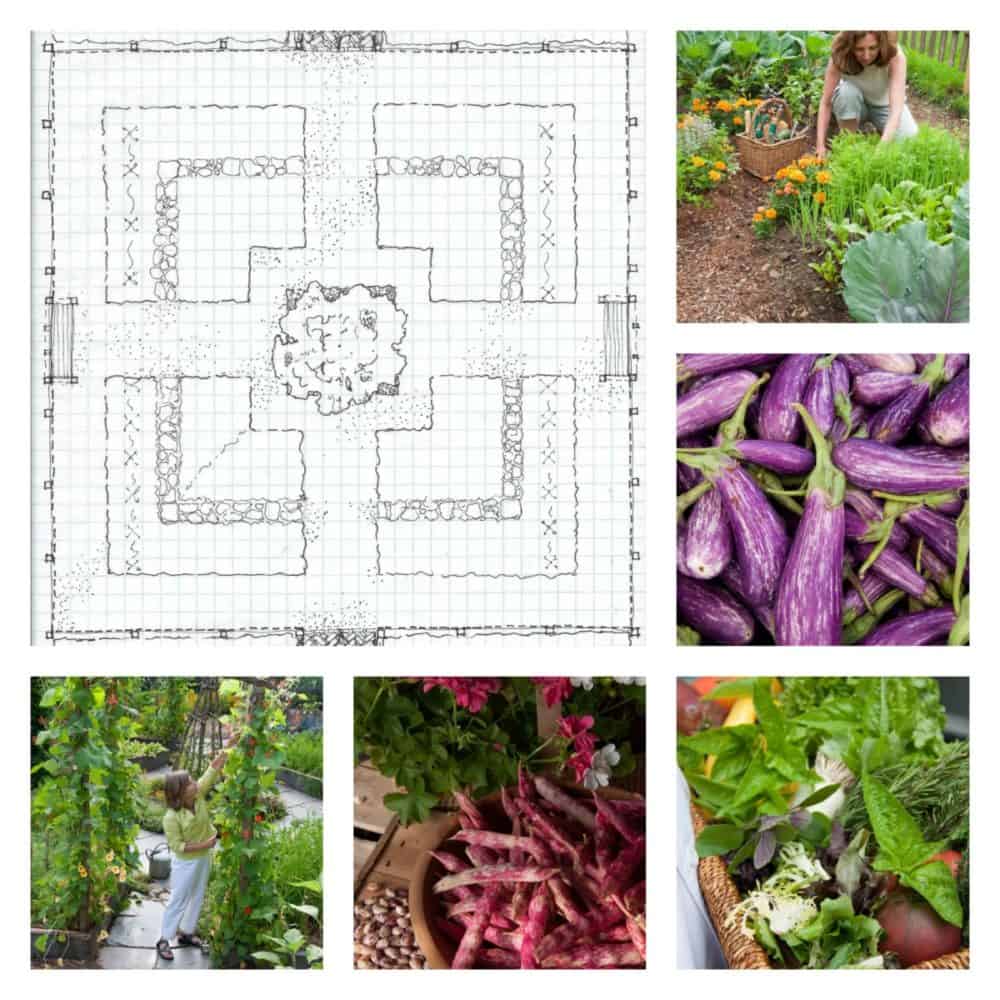 How to design a kitchen garden