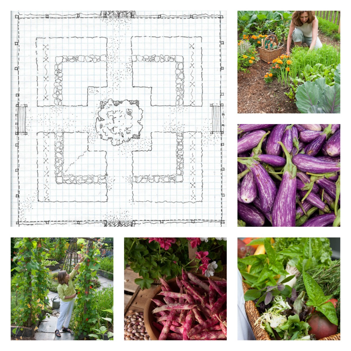 how to design a kitchen garden