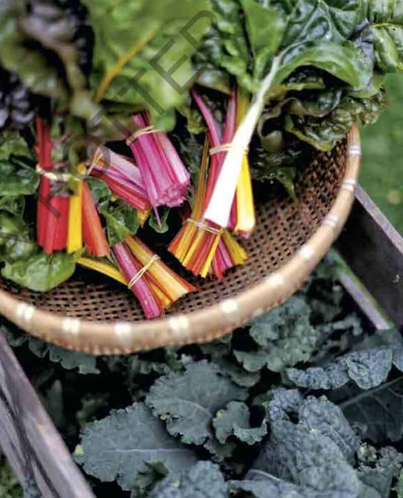 Ellen Ogden New Heirloom Garden